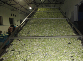 常州健達(dá)生產(chǎn)的脫水蔬菜干燥機(jī)